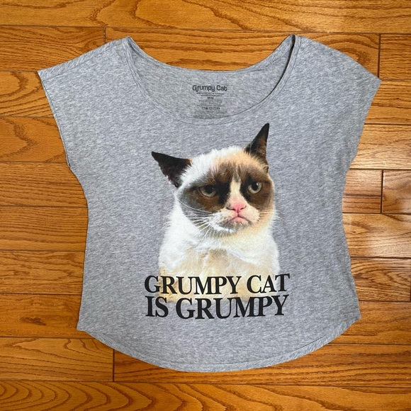 Grumpy Cat T-Shirt Grey - Picture 1 of 5